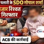 जनपद पलारी के SDO गोपाल शर्मा 25 हजार रिश्वत लेते गिरफ्तार, ACB की कार्रवाई