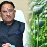 अफीम की अवैध खेती पर CM विष्णुदेव का कड़ा रुख, सभी कलेक्टरों को दिए यह निर्देश