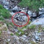 ब्रेकिंग : छत्तीसगढ़ के 4 हिमाचल में मौत, घूमने गया था परिवार, तभी 500 मीटर गहरी खाई में गिरी कार