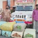 BREAKING : नशे के कारोबार के खिलाफ बड़ी कार्रवाई, 1 करोड़ 14 लाख का गांजा जब्त, दो तस्कर गिरफ्तार