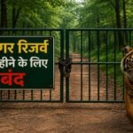 पर्यटकों को बड़ा झटका ! छत्तीसगढ़ में आज से 3 महीने तक बंद रहेंगे टाइगर रिजर्व, राष्ट्रीय उद्यान और अभयारण्य