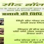 विशेष लेख : सीड बॉल अभियान- हरियाली बढ़ाने का सरल और प्रभावी माध्यम  जनभागीदारी से साकार हो रहा हरित छत्तीसगढ़ का संकल्प
