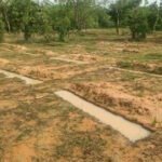 मानसून में तेज़ हुई वन संरक्षण गतिविधियाँ, जल संरक्षण से हरियाली और वन सुरक्षा को मिल रहा नया बल