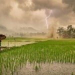 weather update: मानसून पर लगा ब्रेक, छत्तीसगढ़ में अगले 2 दिन बारिश के आसार नहीं, जानिए कब होगी वापसी