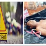 CG – अलग-अलग सड़क हादसों में 3 की मौत, 2 गंभीर घायल