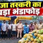 CG- गांजा तस्करी का बड़ा खुलासा: पिकअप में छिपाकर ले जा रहे थे करोड़ों का माल, 4.69 करोड़ की खेप के साथ 6 तस्कर गिरफ्तार…