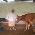 पीएम किसान सम्मान निधि की बचत से खरीदी पहली गाय, आज 10 गायों के साथ आत्मनिर्भर बने 75 वर्षीय परशुराम गुप्ता….