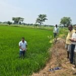 मौसम परिवर्तन से किट एवं बीमारी का प्रकोप