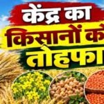 रबी फसलों के MSP में बढ़ोतरी, दलहन-तिलहन पर सरकार का खास जोर