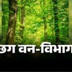 CG : वन विभाग में बड़ी फेरबदल, 102 वनक्षेत्रपालों के तबादले, देखें पूरी लिस्ट