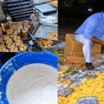 CG : खाद्य विभाग की बड़ी कार्रवाई, 2500 किलो मिठाई और 1000 लीटर दूध नष्ट , 3 दुकानें सीज
