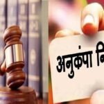 CG- एक नौकरी के लिए दो भाइयों में अदालती जंग! अनुकंपा नियुक्ति पर हाईकोर्ट ने सुनाया ये अहम फैसला…